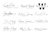 do professional handwriting, signature, scripted logo