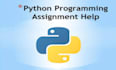 do your python projects