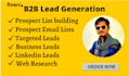 do b2b lead generation,linkedin leads generation and web research for email list