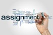 do assignments in pdf