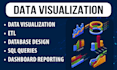 do data visualization, data warehouse,database modeling and design, sql queries