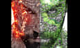 do awesome photo manipulation and photoshop editing