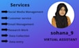 provide virtual assistant services