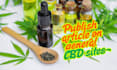 do high da cannabis marijuana cbd guest post link building for backlinks