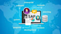 do sap abap development and provide sap consultation
