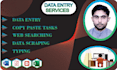 do precise data entry, typing jobs, and web search