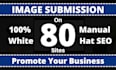 do infographic or image submission on the top 80 websites