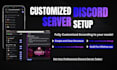 setup a professional custom discord server