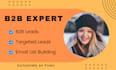 provide targeted b2b lead generation for business leads