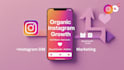 do organic instagram growth and dm marketing