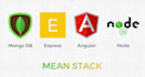 develop or maintain your mean stack web application