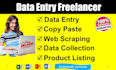 do data entry, copy paste, web scraping and excel data entry
