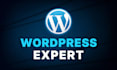 fix your wordpress website errors and bugs within hours