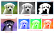 do image processing program using opencv python