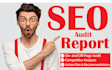 provide website SEO audit report and competitor analysis