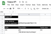 retrieve API data using python or javascript