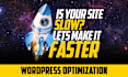 do wordpress speed optimization for google pagespeed insights