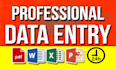 do accurate data entry, copy paste, data scraping, pdf to excel