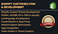build a professional shopify website for your business and fix shopify bugs