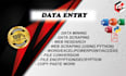 be your virtual assistant for data entry, data mining, copy paste, web research