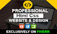 create a professional website using HTML, css, javascript