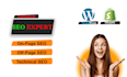 seo expert with technical and on page optimization service