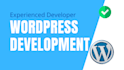 create a professional wordpress website