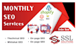 monthly SEO service with permanent high da backlinks