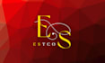 design captivating logo with a unique style