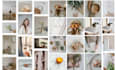 create engaging pinterest pin,template by canva