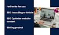 write SEO focus blog or article, website content writing project