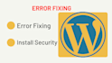do bug fixing and customization