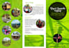 posters flyers,newsletters designing broshures