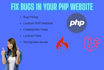 fix bugs in your custom PHP website
