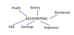 provide expert tax advice on income extraction and expenses