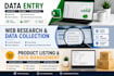 data entry, excel data entry and web research