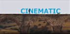 edit your wedding film, highlight, teaser and cinematic