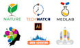 create beautiful logo designs for you