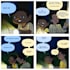 comic and character illustration