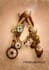create an image in this unique steampunk style