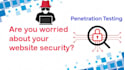 professionally provide website  penetration testing  with manual report