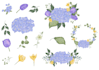 draw flowers digital illustrations in watercolour style
