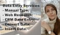 do data entry, editing, analysis and formatting of data