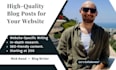 write high quality blog posts for your website