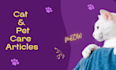 write cat and pet articles for your petcare blogs