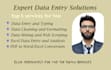 accurate and efficient excel data entry and data analysis