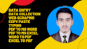 do fastest data entry, excel data entry in 48 hours, web scrap, transcribe PDF