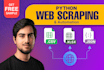 do python web scraping, data mining, web scraper, data scraper