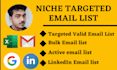 provide niche targeted email list building