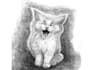 do custom pet portrait, cat portrait, dog portrait drawing